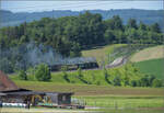 150 Jahre Emmentalbahn. Vierfachtraktion auf Gleisen der Bernischen Staatsbahn.

Zum Abschluss das Fest mit allen vier momentan betriebsfähigen Dampfloks der Dampfbahn Bern. E 3/3 853 der Jura-Simplon-Bahn, Ed 3/3 3 'Langnau' der Emmentalbahn, E 3/3 1 'Lise'des Gaswerks Bern und Ed 3/4 51 der Bern-Schwarzenburg-Bahn. Mit mächtigem Pfeifkonzert und unübersehbarer Rauchwolke nähert sich das ungewöhnliche Gespann Worb... Das Schwarze Bähnli? Tägertschi, Mai 2025.