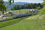 RABe 528 218 auf dem Weg nach Langnau. Tägertschi, Mai 2025.