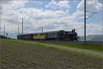150 Jahre Emmentalbahn. 

Ed 3/4 51 der Bern-Schwarzenburg-Bahn mit einem Sonderzug nach Worb überraschte durchaus. Durch einen RE ausgebremst gab es in Trimstein eine zweite Chance, wobei diesmal eine Fotowolke überraschte. Mai 2025.