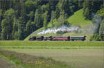 150 Jahre Emmentalbahn. 

Fotogene Vorbeifahrt von E 3/3 853 der Jura-Simplon und Ed 3/3 3 'Langnau' der Emmentalbahn mit ihrem Sonderzug auf der Bern-Luzern-Bahn. Emmenmatt Ried, Mai 2025.
