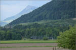 150 Jahre Emmentalbahn. 

141-R-1244 auf dem Rückweg von der grossen Emmentalrundfahrt anlässlich des Jubiläums. Stegmättli, Mai 2025.