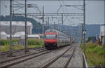 Ein IC mit Re 460 030 auf dem Weg nach Luzern. Brittnau-Wikon, August 2017.