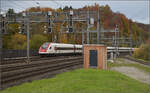 RABDe 500 014 'Max Frisch' und RABe 500 041 'William Barbey' in Dulliken. November 2025.