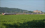 Für Abwechslung bei Hendschiken sorgt ein umgeleiteter Fernverkehrszug mit RABe 501 025 'Geneve' und RABe 501 020 'Luzern'. Juni 2025