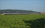 Für Abwechslung bei Hendschiken sorgt ein umgeleiteter Fernverkehrszug mit RABe 501 025 'Geneve' und RABe 501 020 'Luzern'. Juni 2025