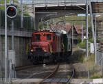 Der Museumszug mit Seetalkrokodil De 6/6 15301, Ae 3/5 10217 und Seetalwagen treffen in Waldibrcke ein. September 2024.