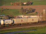 Sonnentag in Frick.

193 519 'Adige' der SBB Cargo international zieht einen Containerzug zum Bözberg. Im Bild der 4-achsige Containertragwagen 33 88 4554 673-5 RIV B-LNS Sgns. Frick, November 2024.