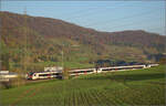 Sonnentag in Frick.

Die Mouettes RABe 523 510, RABe 523 509 und RABe 523 507 auf dem Weg nach Basel. Frick, November 2024.