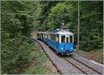 Les chemins de fer disparus - Die verschwundenen Bahnen (Tramway de Lausanne 1896 - 1964) - Der Ce 2/3 ist mit zwei Anhngern mitten im Wald kurz vor Vers Chez Rober auf dem Weg nach Chamby. 

13. September 2025