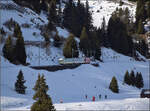Nun sollte es ins Skigebiet des Col de Bretaye gehen, also dort oben hin. 

Der Zug mit der Lokomotive HGe 4/4 32 'Villars' mit seinen zwei Panoramawagen ist auch im vielf�ltigen Fahrzeugpark der BVB ein Sonderling und kommt talw�rts nach Bouquetin ...