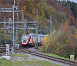 RABe 502 229 in Dulliken. November 2025.