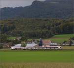 Auf der Schweizer Gäubahn.

Ein unbekannt gebliebener RABe 523 unterwegs Richtung Olten. Niederbipp,  Oktober 2024.
