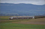 RABe 523 031 kommt den Jurasüdfuss heruntergefahren zwischen Croy-Romainmôtier und Arnex-sur-Orbe. Dezember 2025.