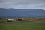 RABe 523 031 kommt den Jurasüdfuss heruntergefahren zwischen Croy-Romainmôtier und Arnex-sur-Orbe. Dezember 2025.