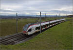 RABe 523 031 kommt den Jurasüdfuss heruntergefahren zwischen Croy-Romainmôtier und Arnex-sur-Orbe. Dezember 2025.