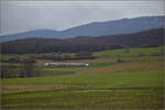RABe 523 031 kommt den Jurasüdfuss heruntergefahren zwischen Croy-Romainmôtier und Arnex-sur-Orbe. Dezember 2025.