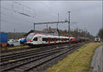 Schlechtwetter bei Sisseln. 

RABe 523 011 und RABe 521 014 durchfahren den Bahnhof Sisseln ohne Halt, w�hrend Am 843 093 mit einigen G�terwagen bereits den zweiten Zug zur Kreuzung abwartet. Zuvor kreuzte bereits eine rote Am 843 mit einer Am 841 und einigen G�terwagen im Schlepptau. Februar 2026.