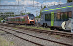 Mika RABe 528 120 der BLS begegnet Traverso RABe 528 108 der SOB in Burgdorf. Mai 2025.