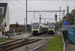 RABe 528 209 und RABe 528 227 begegnen sich in Mittelhäusern. Oktober 2025.