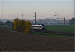Aargauische Südbahn.

RBDe 560 232 und RABe 560 272 bei Boswil. November 2024.