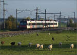 Aargauische Südbahn.

RBDe 560 207 bei Boswil. November 2024.