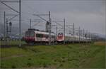 Auf der Schweizer Gubahn. 

RBDe 560 261 nach Olten begegnet RABDe 500 042 'Steivan Brunies' und RABDe 500 006 'Johanna Spyri' unterwegs Richtung Biel. Oensingen, Oktober 2024.