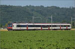 RBDe 560 286 bei Hendschiken, Juni 2025.