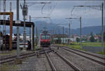 S8 nach Olten in Brittnau-Wikon. Der NPZ RBDe 560 ist leider unbekannt geblieben. August 2017.
