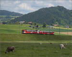 150 Jahre Emmentalbahn. 

Frosch und Wildsau sind längst verschwunden, der Emmentaler RBDe 566 222 ist wieder daheim und strahlt im RM-Rot. Hier kommt er die Rampe von Großhöchstetten (im Hintergrund) nach Konolfingen runtergefahren. Konolfingen Dorf, Mai 2025.