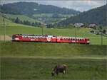 150 Jahre Emmentalbahn. 

Frosch und Wildsau sind lngst verschwunden, der Emmentaler RBDe 566 222 ist wieder daheim und strahlt im RM-Rot. Hier kommt er die Rampe von Grohchstetten (im Hintergrund) nach Konolfingen runtergefahren. Konolfingen Dorf, Mai 2025.