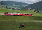 150 Jahre Emmentalbahn. 

Frosch und Wildsau sind längst verschwunden, der Emmentaler RBDe 566 222 ist wieder daheim und strahlt im RM-Rot. Hier kommt er die Rampe von Großhöchstetten (im Hintergrund) nach Konolfingen runtergefahren. Konolfingen Dorf, Mai 2025.