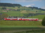 150 Jahre Emmentalbahn. 

Frosch und Wildsau sind längst verschwunden, der Emmentaler RBDe 566 222 ist wieder daheim und strahlt im RM-Rot. Hier kommt er die Rampe von Großhöchstetten (im Hintergrund) nach Konolfingen runtergefahren. Konolfingen Dorf, Mai 2025.