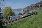 Der SBB ETR 610 009 ist als EC 45 von Genève nach Milano unterwegs und konnte kurz vor Villeneuve in der frühlingsgrünen Landschaft am Genfer See fotografiert werden. Im Hintergrund ist das Château de Chillon zu erkennen. 

3. April 2025 