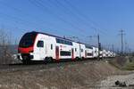 SBB CFF FFS RABe 511/RABe 512 von Olivier Vietti-Violi  6 Bilder