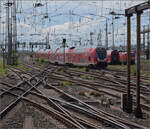 Ankunft von 446 022, 446 030, sowie 446 038 und 446 032. Frankfurt, Juli 2024.