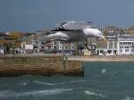Im Landeanflug auf St Ives 