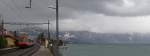 Sturm am Genfersee.
(Februar 2009)