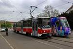 Eine T6-Traktion bestehend aus TW 1241 und 1242 ist am 24.04.24 auf der Linie 10 unterwegs in Richtung Vozovna Komn und begegnet dabei einem 13T mit Vollwerbung.