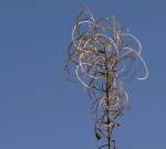 Natrliche Knstlerimpressionen.
(Oktober 2009)