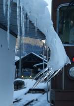 Der Winter zeigt seine Krallen.
(Zweisimmen, den 29. Dez. 2008)