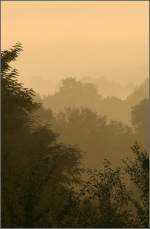 Morgenstimmung bei uns zu Hause an einem Septembermorgen, 24.09.2008 (Matthias)