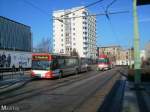 Bus 263 und Tw 148 an der Stadthalle (23.1.2009)