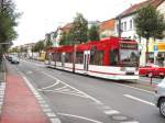 Niederflurwagen der Linie 5 zum Zoopark in der Magdeburger Allee, Hhe Ammertalweg, Erfurt Oktober 2009