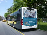 (276'496) - STI Thun - Nr. 185/BE 804'185 - Mercedes am 8. Juni 2025 bei der Schifflndte Thun
