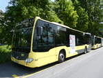 (276'497) - STI Thun - Nr. 185/BE 804'185 - Mercedes am 8. Juni 2025 bei der Schifflndte Thun