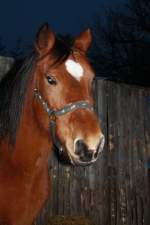 Na? wer guckt denn so spt noch zu mir herein?