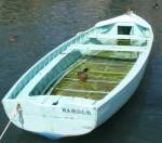 Herr Enterich beim Aufwrmtraining...
(Juni 2008)