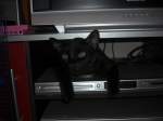Der DVD Recorder gehrt mir. Guckst du, da hinten ist es staubig !
Morli, 1 Jahr alt