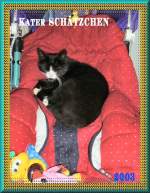 Kater Schtzchen in Erfurt, 2003