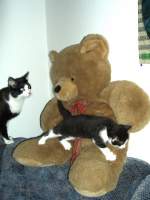 Muserich und Katzenkind in ERFURT